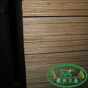廣西建筑模板廠家供應，首選保興品牌建筑模板